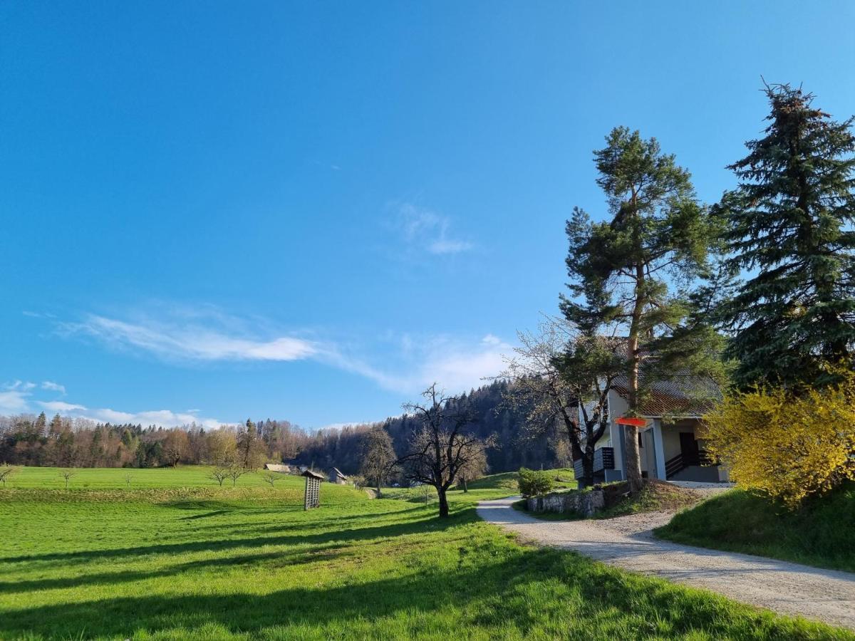M&M Apartment Zgornje Gorje Luaran gambar